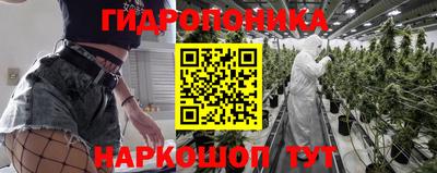 марихуана Аргун